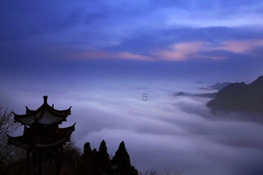 逃离幽灵之林